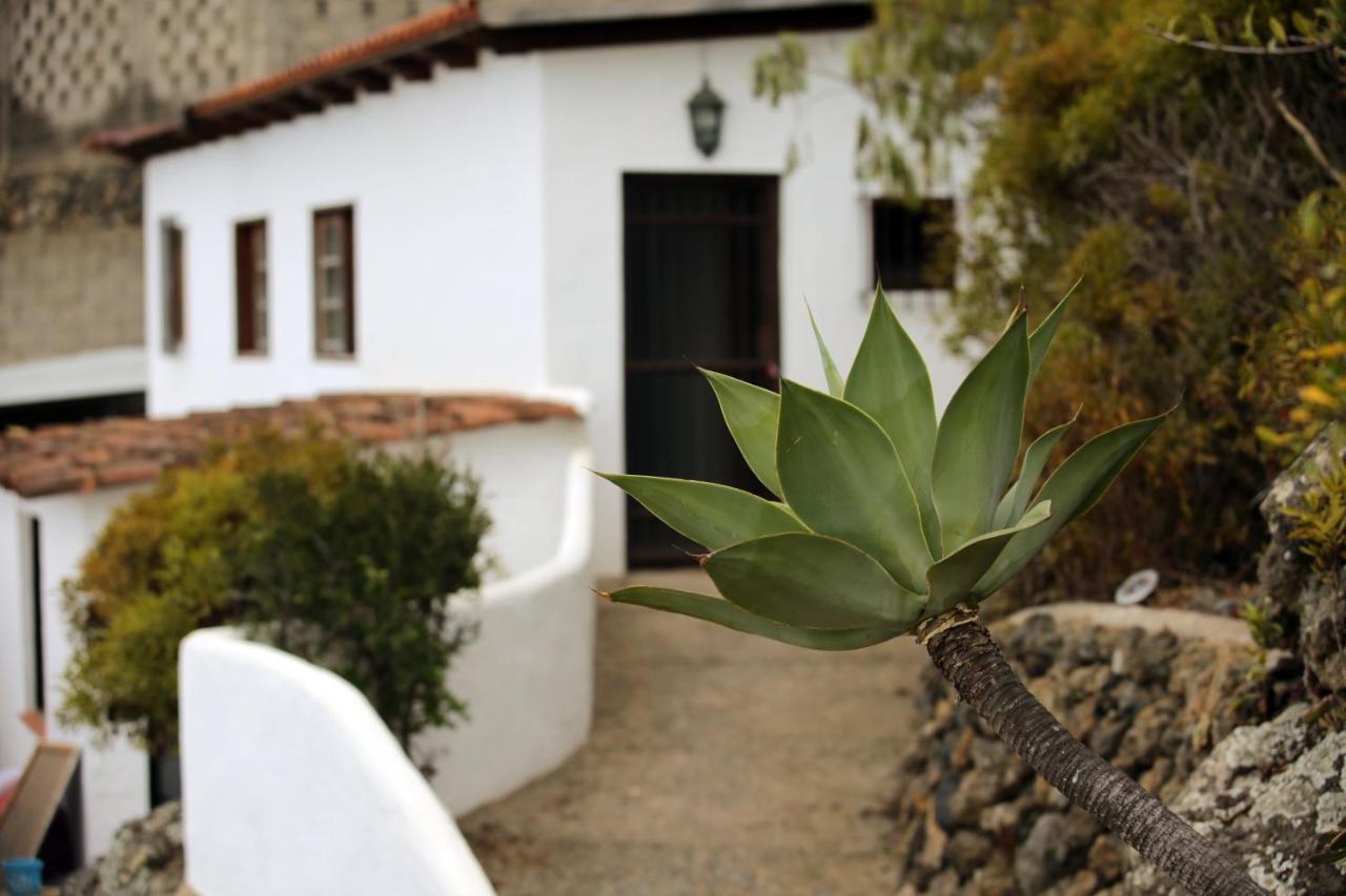La Torre - Tabaiba By Tor